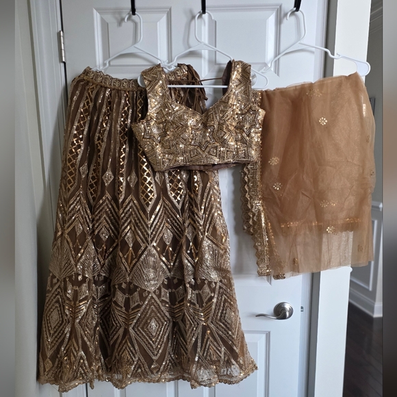 Golden Brown Net Embroidered Lehenga Choli - Picture 5 of 13